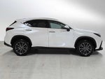 2024 Lexus NX Premium