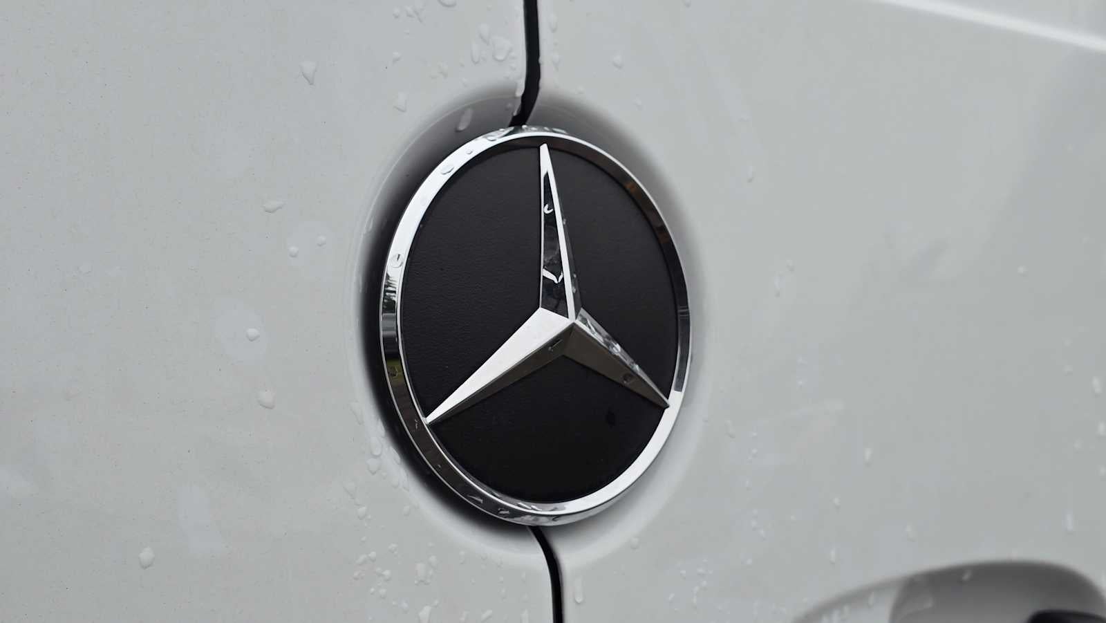 2025 Mercedes-Benz Sprinter 2500 Standard Roof I4 Diesel 144" RWD