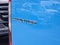 2026 Mercedes-Benz Sprinter 2500 Standard Roof I4 Diesel HO 144 RWD