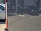 2026 Mercedes-Benz Sprinter Cargo 2500 Standard Roof I4 Diesel HO 144 AWD