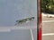 2026 Mercedes-Benz Sprinter Cargo 2500 High Roof I4 Diesel HO 170 RWD