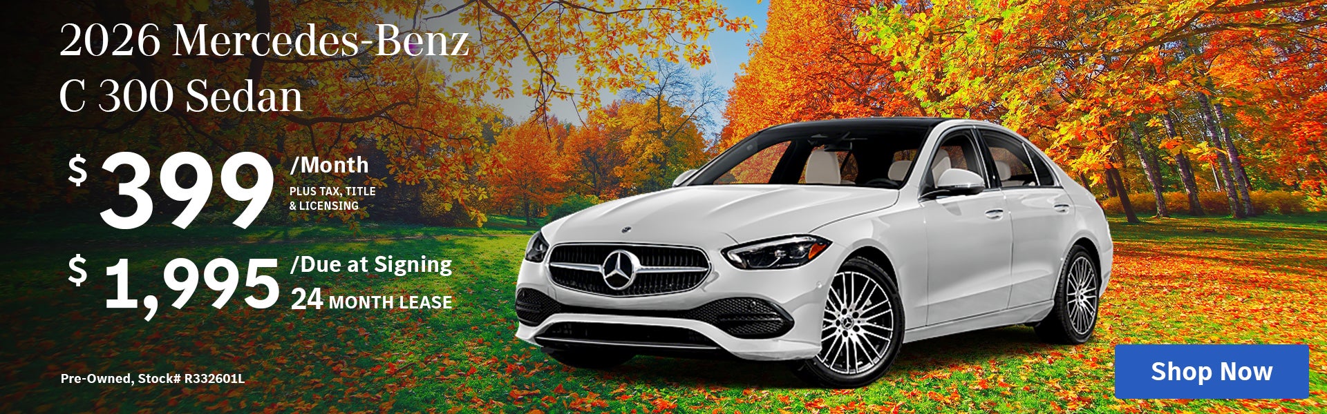 C 300